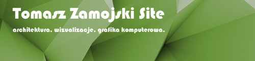 www.tomaszzamojski.com